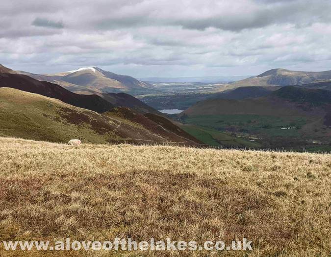 Looking towards Derwent Water