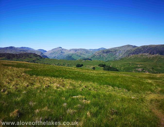 Looking towards Dale Head