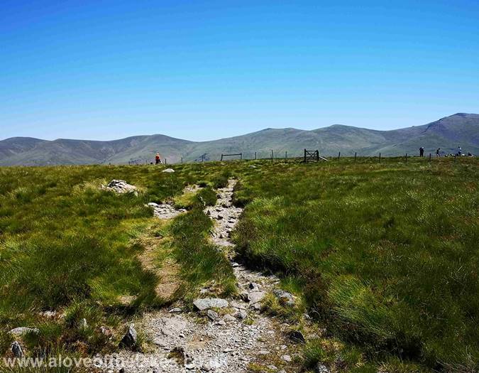 Approaching the summit of High Tove