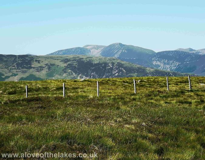 Looking towards Skiddaw