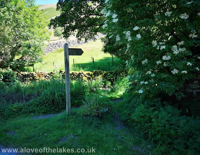 The start of the walk