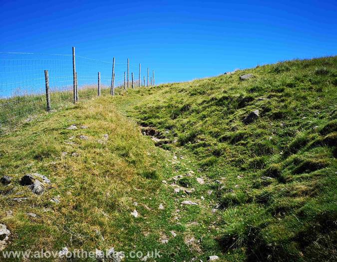 Following the fenceline
