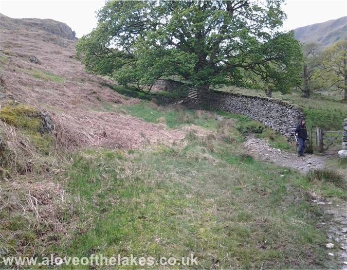 The boundary wall