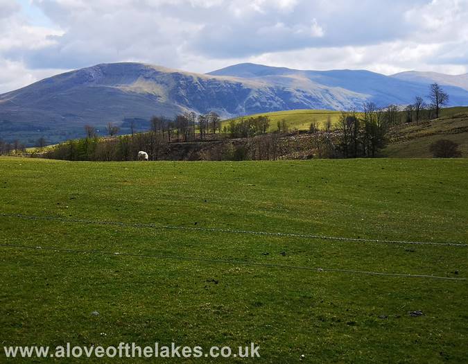 Looking over towards Helvellyn