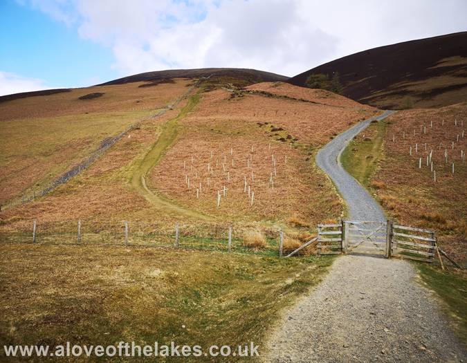 A choice of two paths