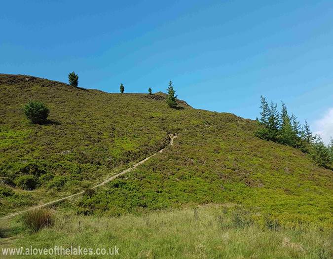 The path leading to the  summit