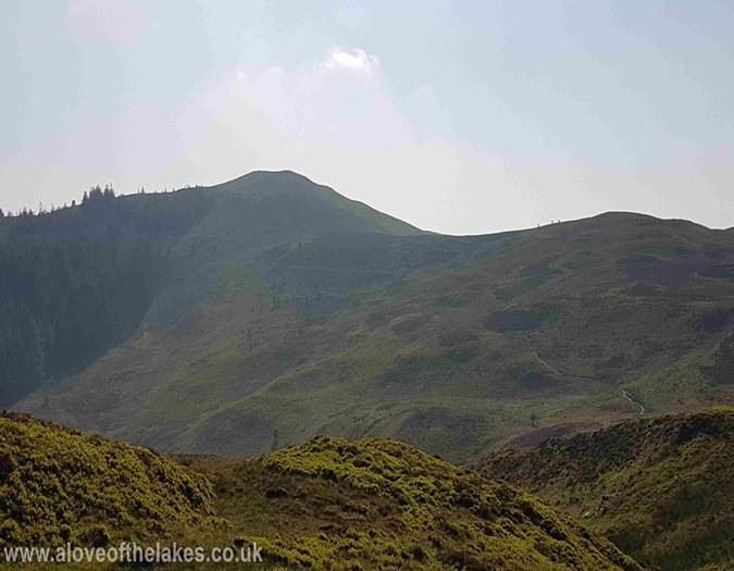 Looking towards Lords Seat