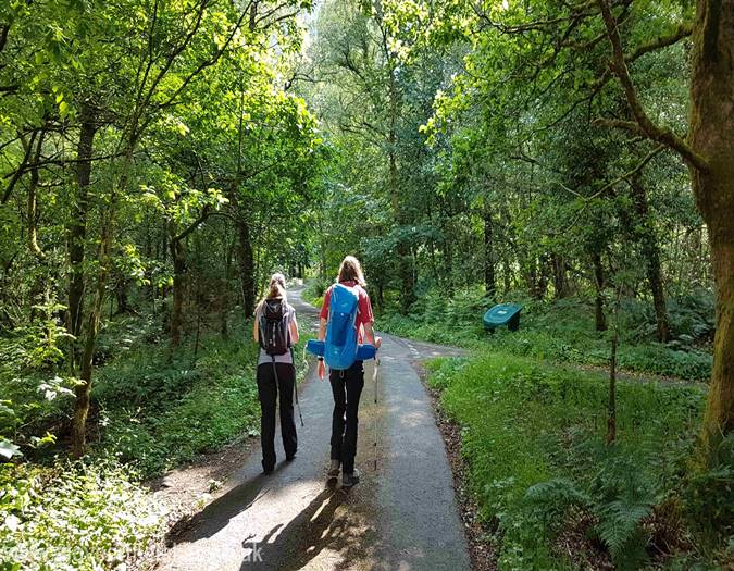 The path through the woods