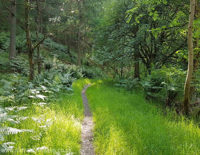 Just before the path gets steep