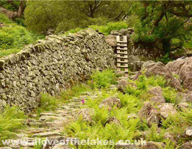 The ladder stile