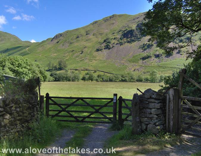 The 5 bar gate