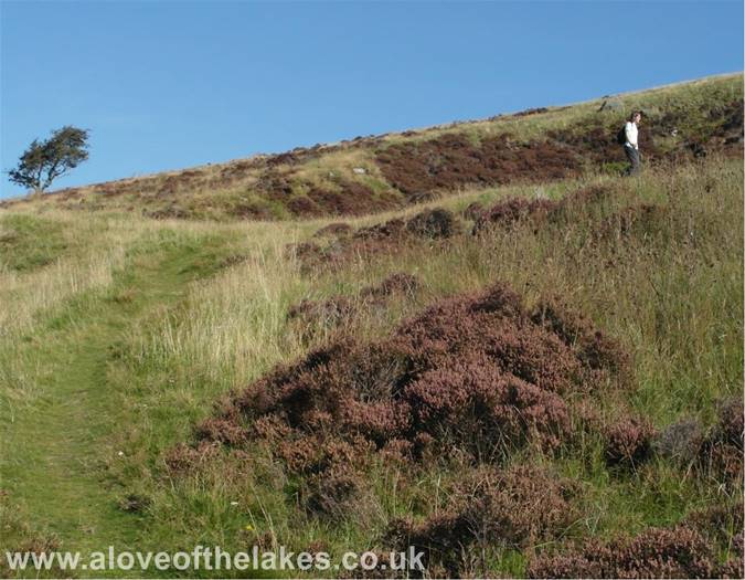 The path swings right