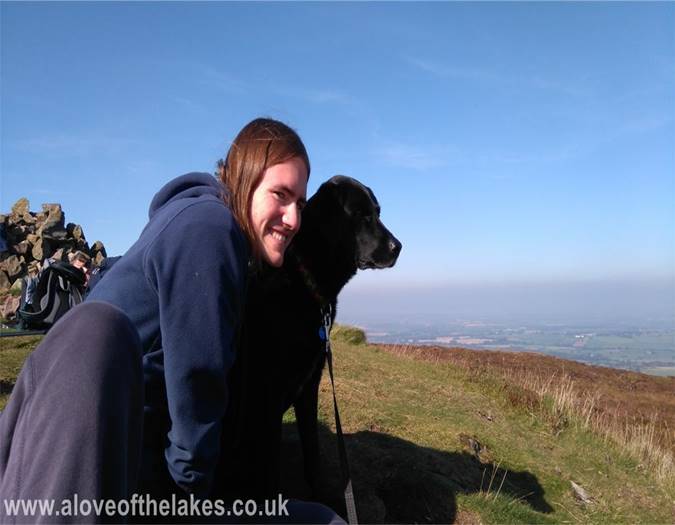 A black Labrador dog