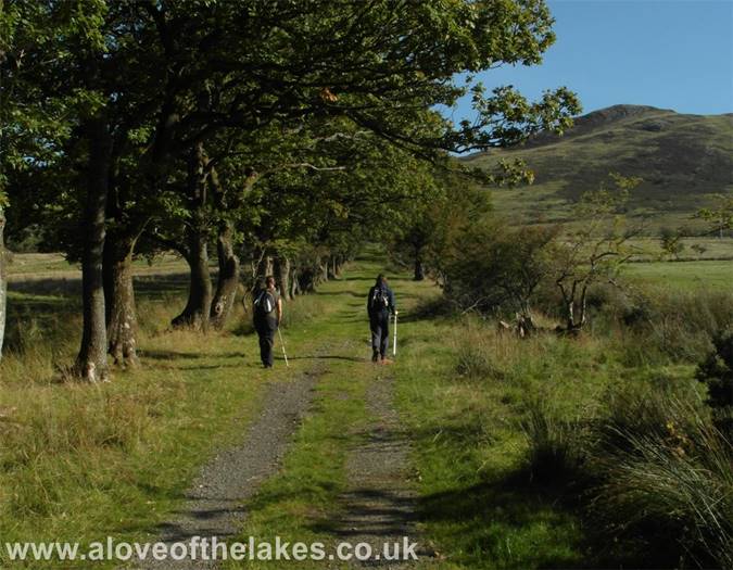 A very pleasant start to the walk