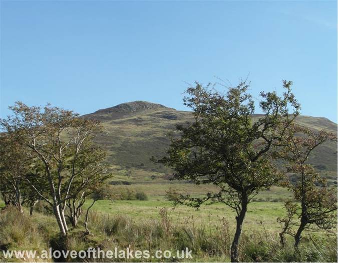 The Western face of Binsey
