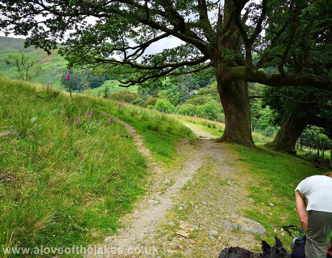The steep section of the path