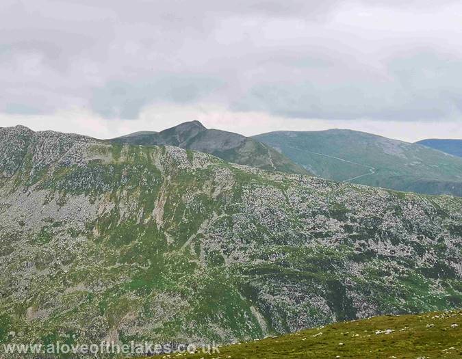 Catstye Cam