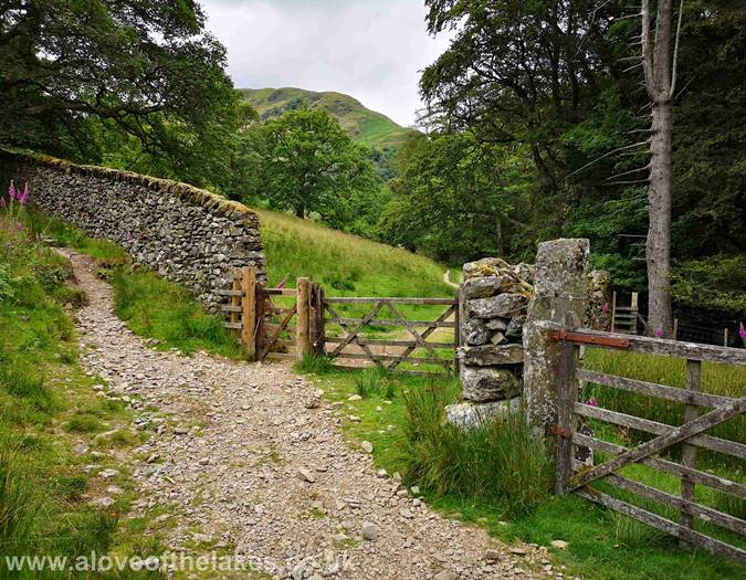 The wooden gate