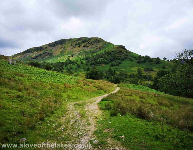 First view of Birks