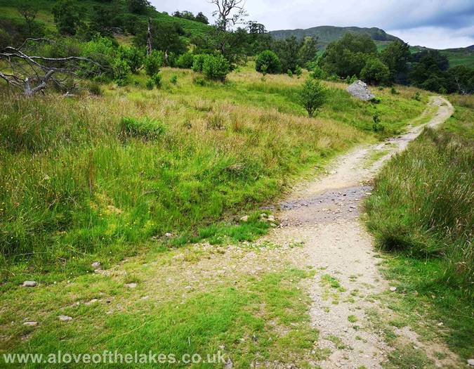 The steep climb to Thornhow End
