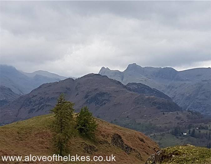 Looking towards the Langdale Pikes