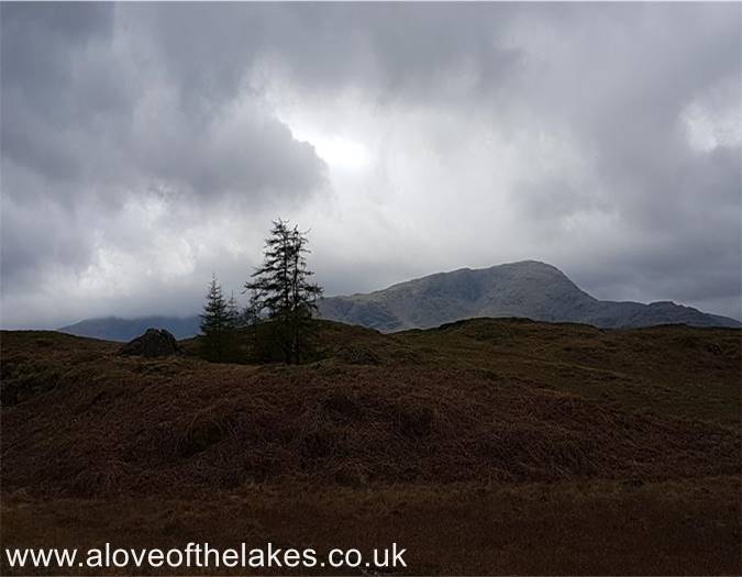 Looking towards Wetherlam