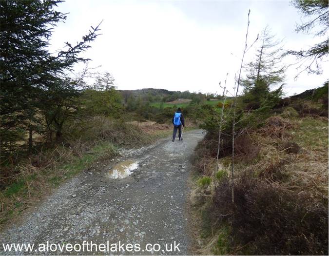 Walking through Iron Keld