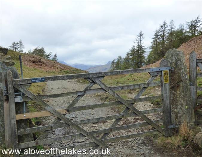 The wooden gate