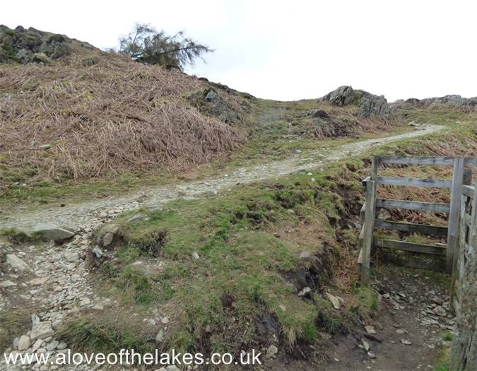 The track leads to the open fell side