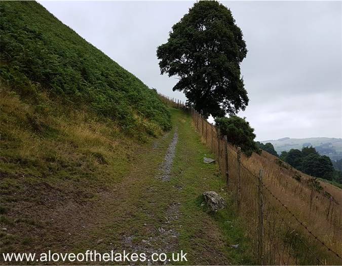 The start of the main path up Scales Fell