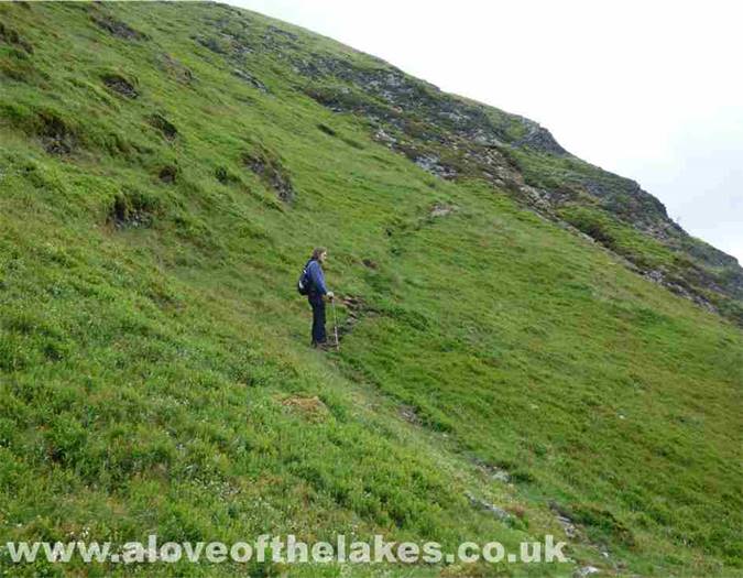 The upper reaches of the track