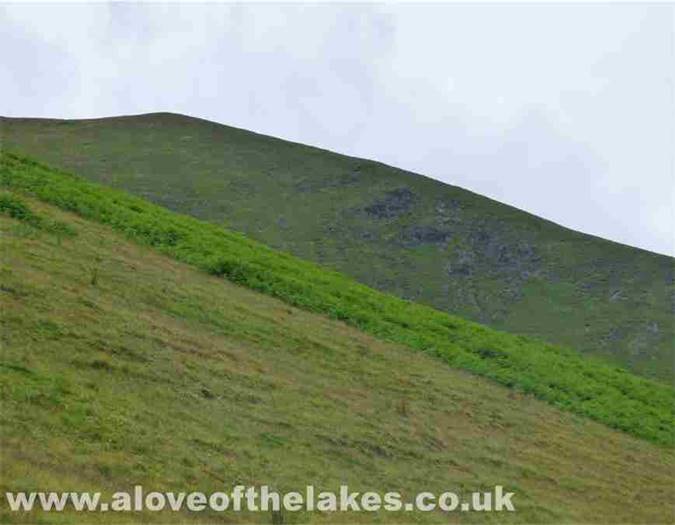Looking towards Bowdcale
