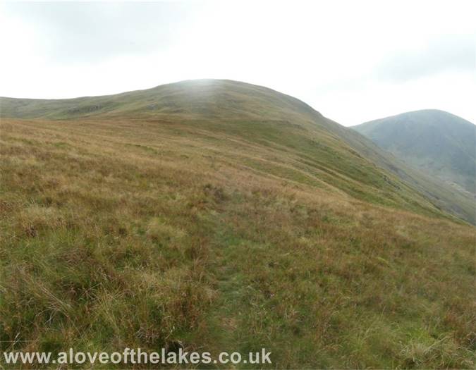 The faint grass path