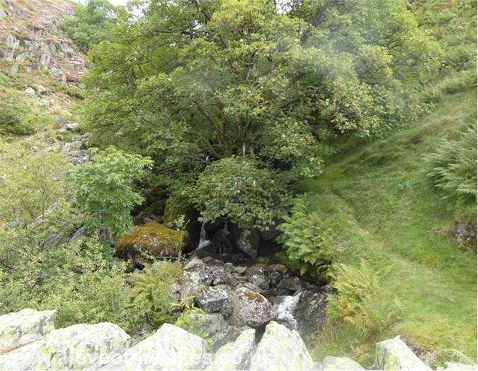The faint grass path