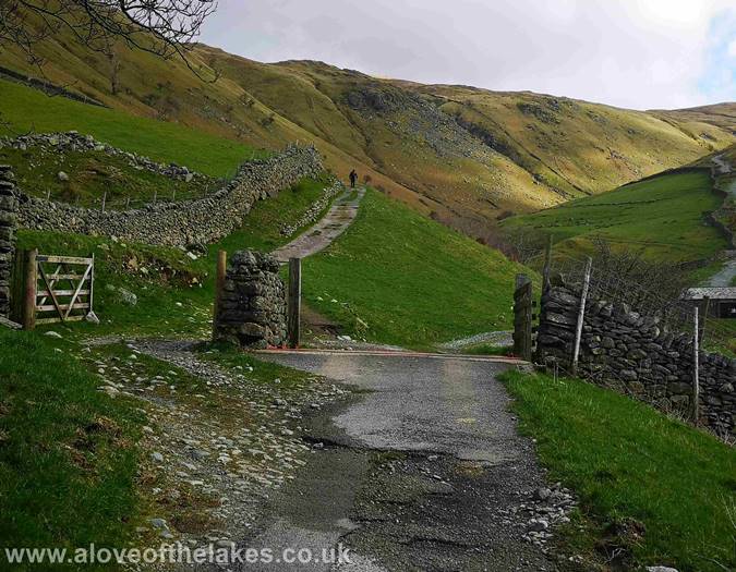 The cattle grid