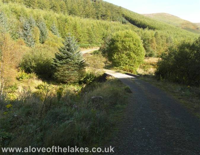 The winding path