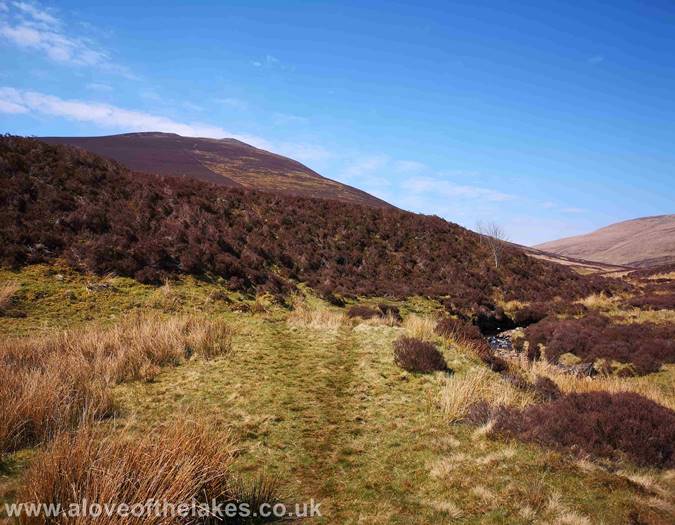 The faint grass track