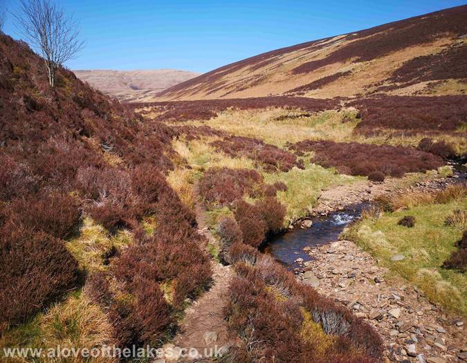 Following the line of the stream