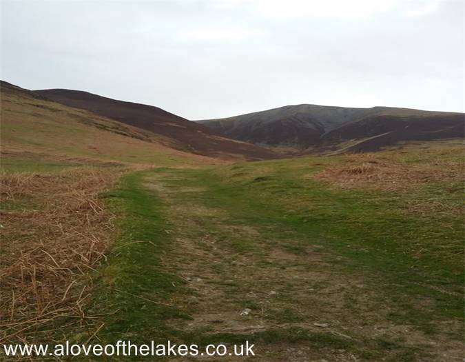 The split in the path