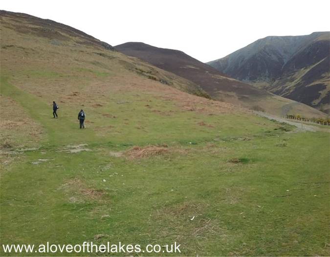 Following the grass track