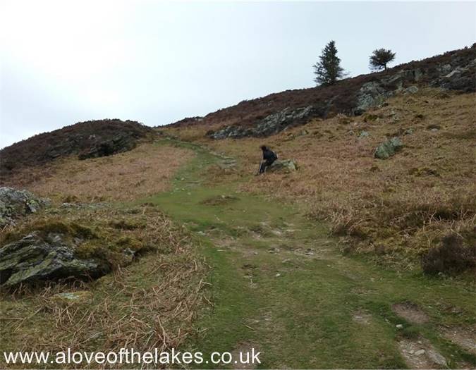 Following the path to Doups