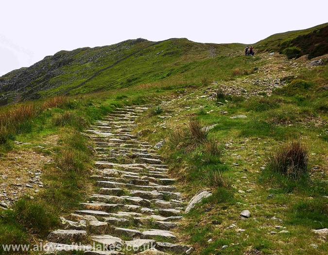 The stepped track