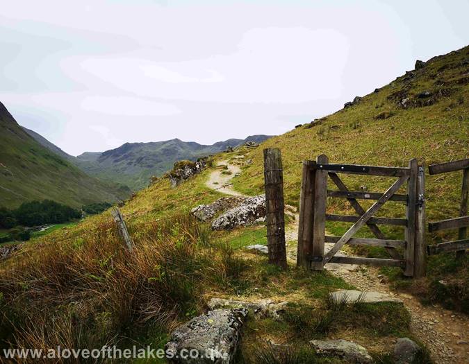 The wooden gate