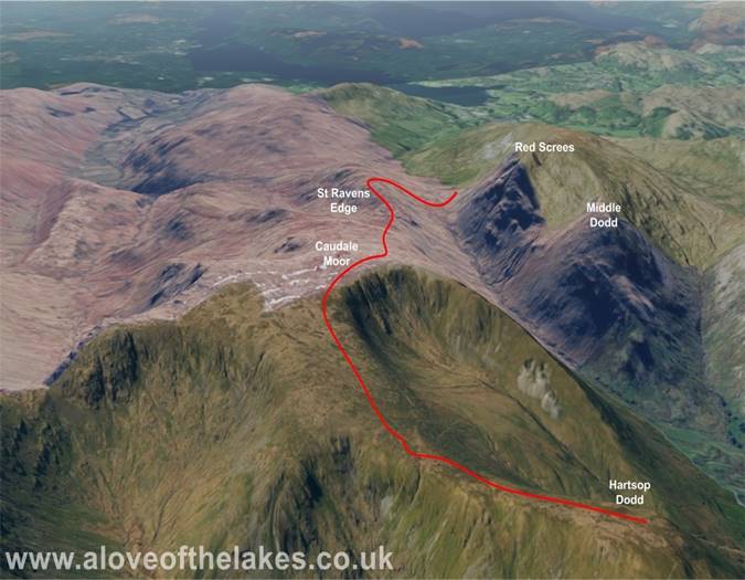 Terrain image