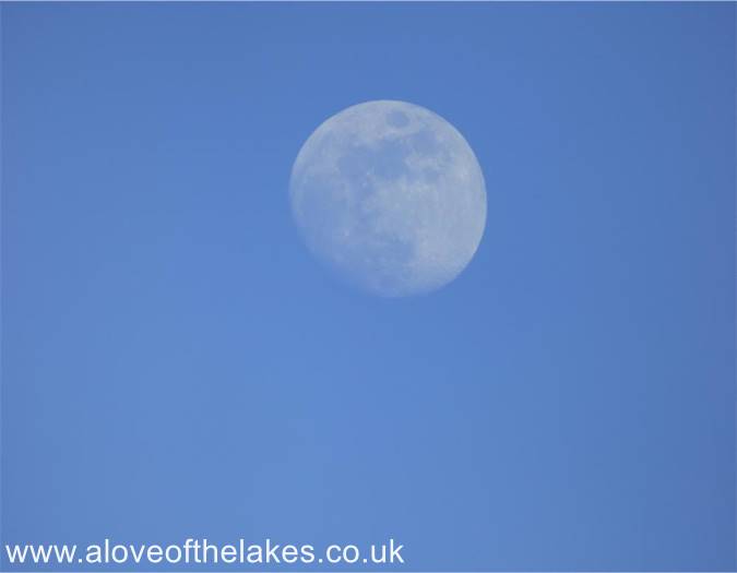 The Moon