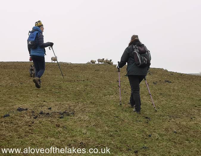 Aopproaching the summit