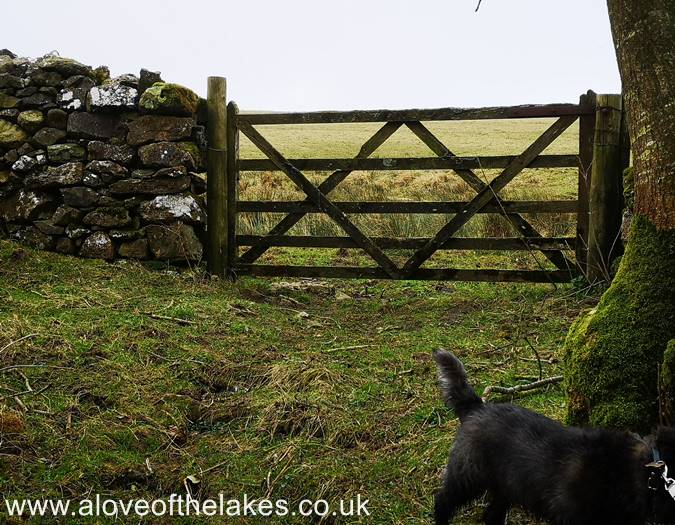The second hand gate