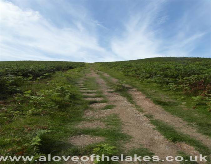 Further on up the path
