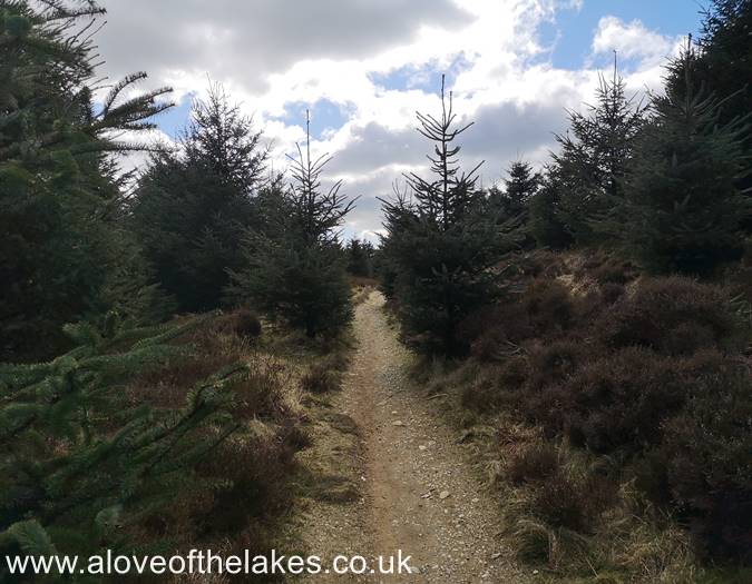 The path levels off