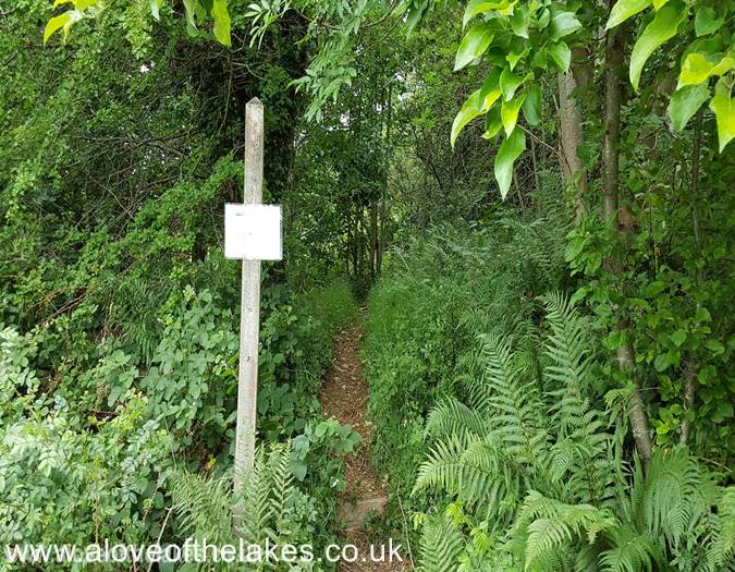 The start of the path